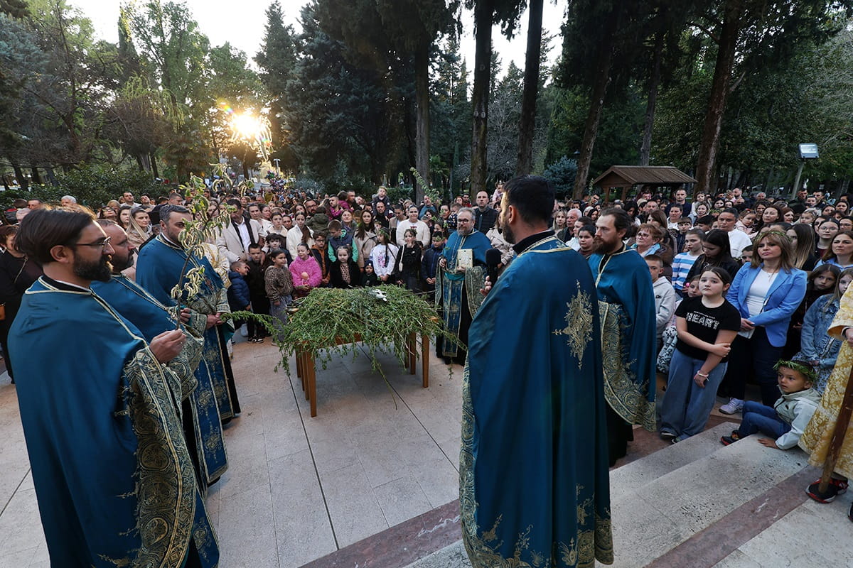 Vrbica trebinje 20262.jpg