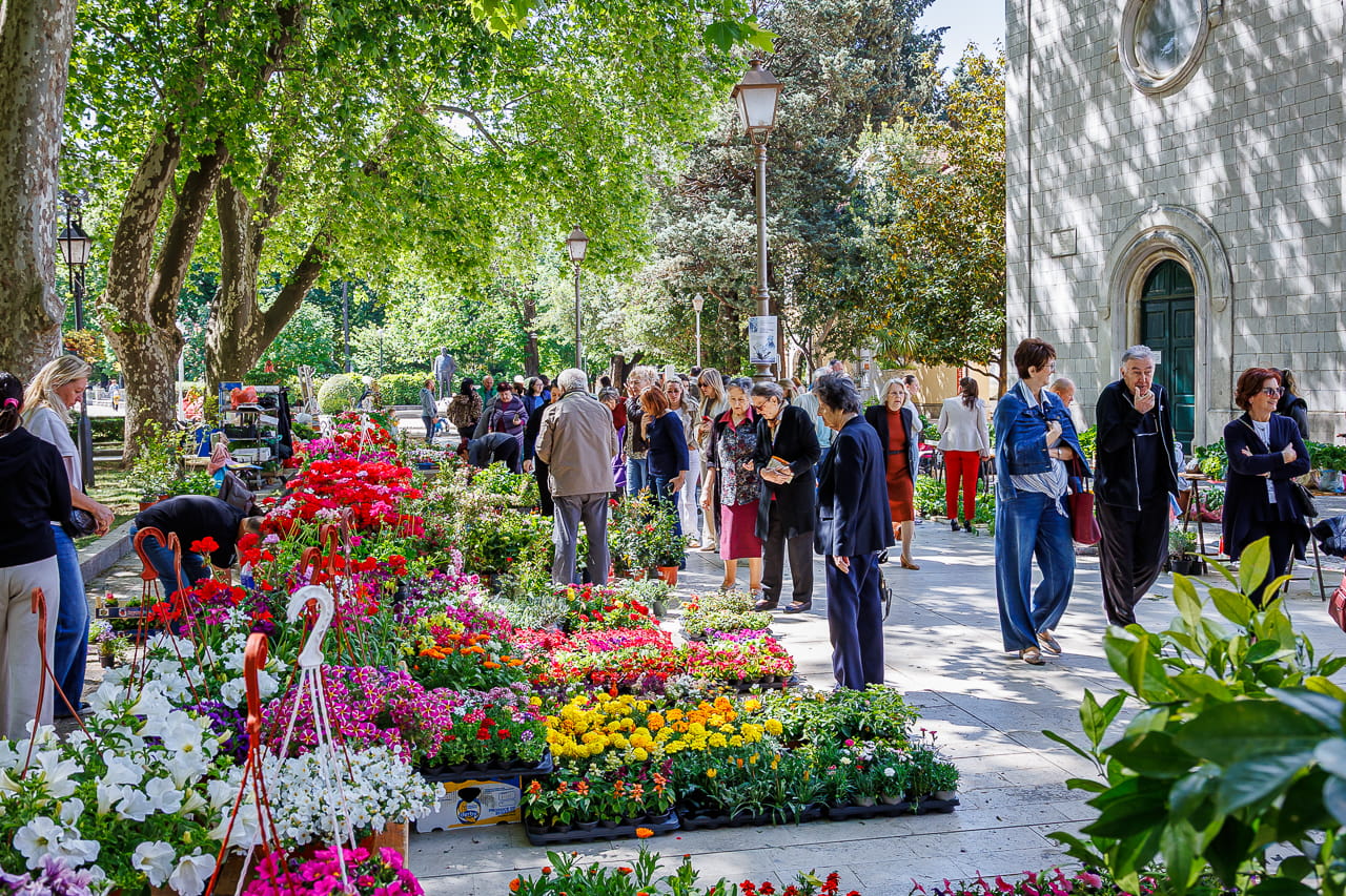 Subota maj 202621.jpg