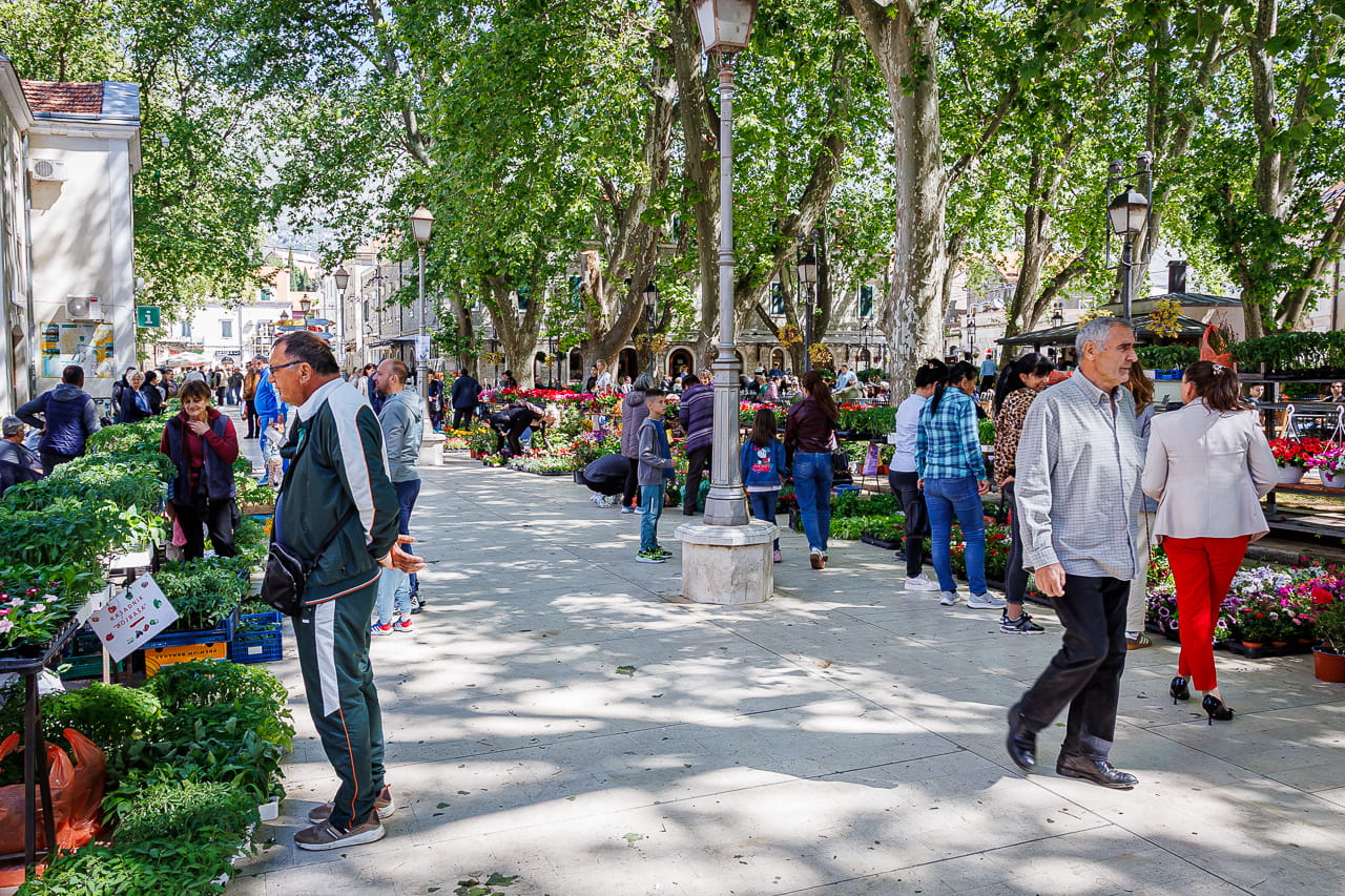 Subota maj 202622.jpg