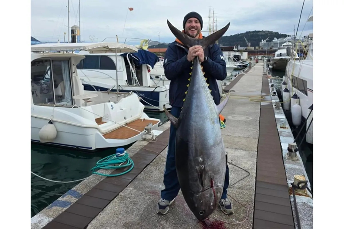 Tuna cg.jpg