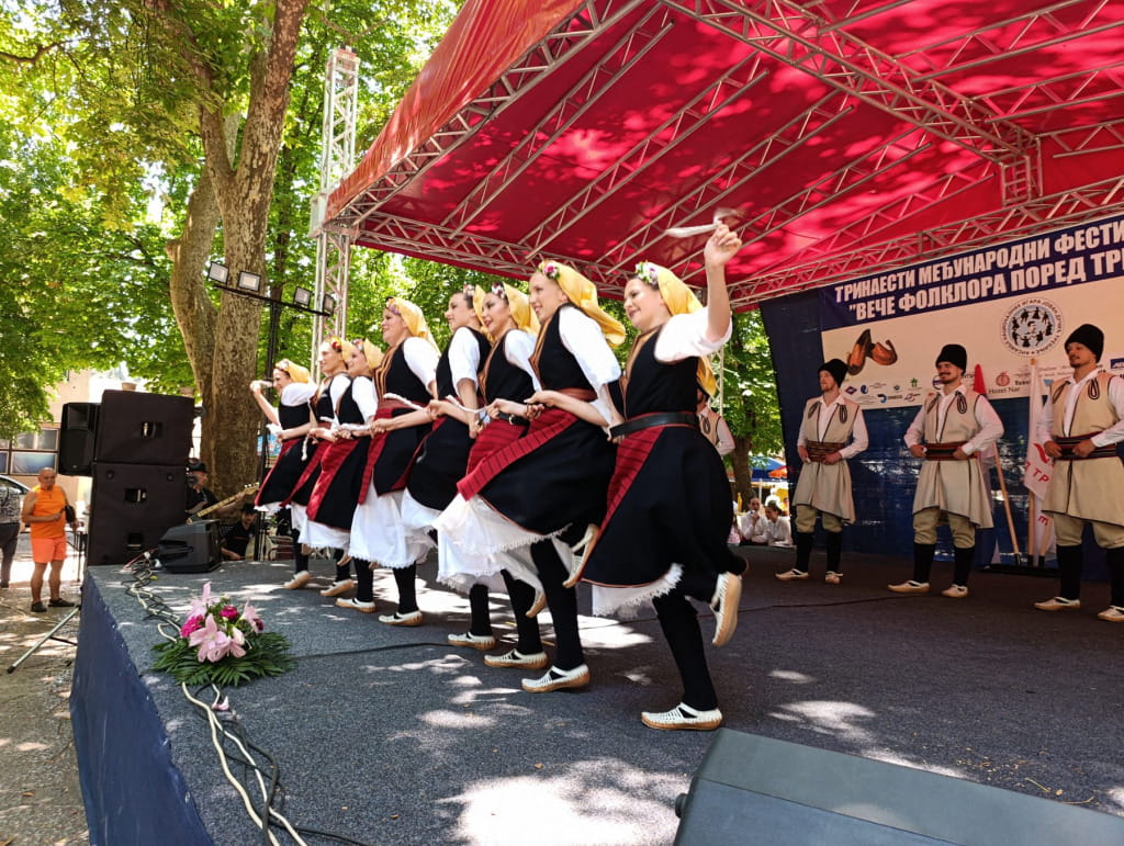 Ani jovan ducic festival4.jpg