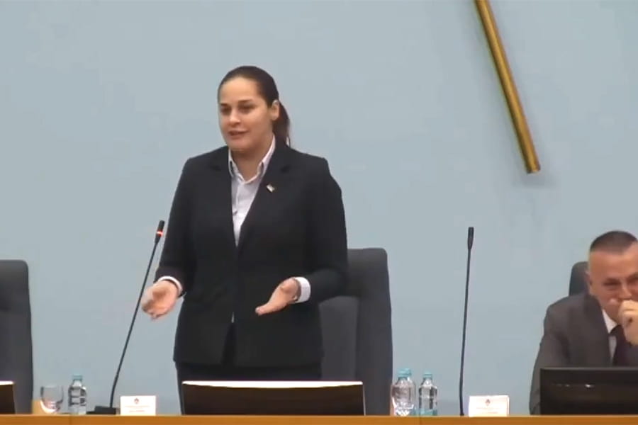 Anja ljubojevic.jpg