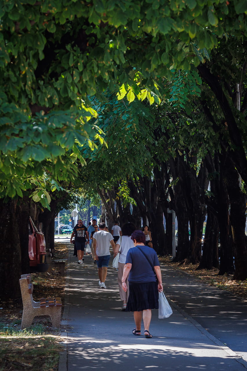 Avgust trebinje subota 202616.jpg