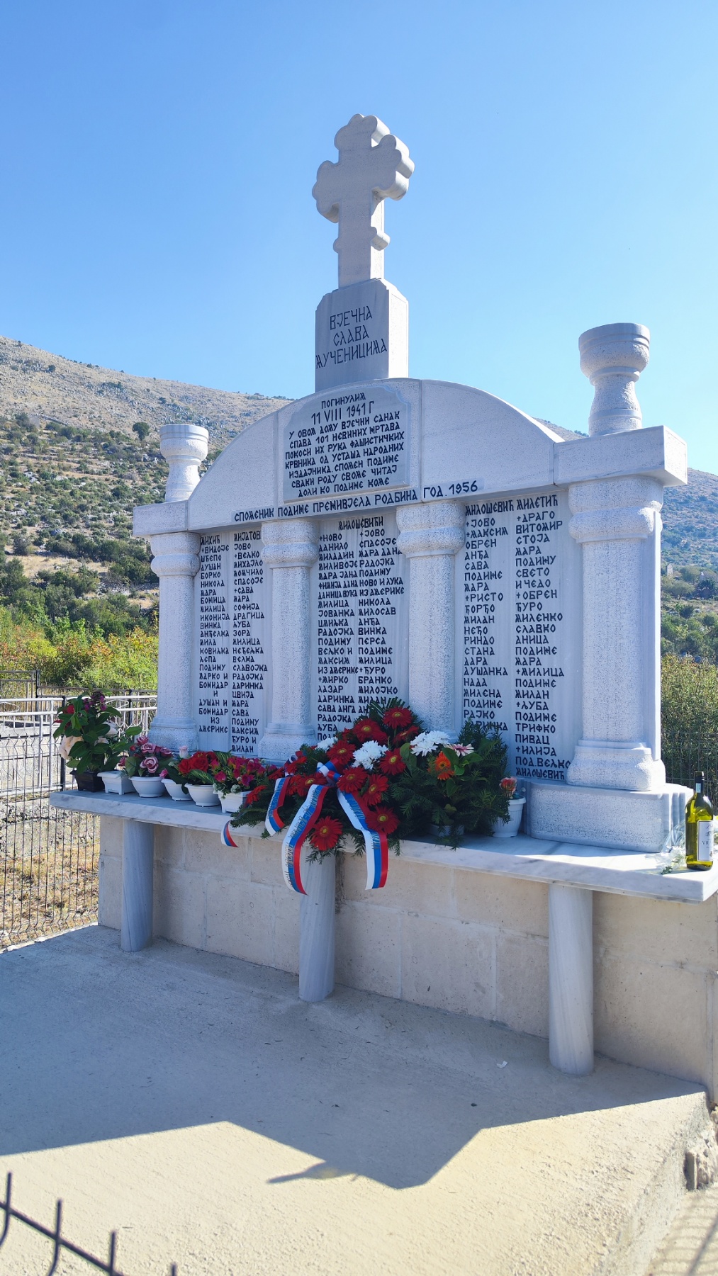 Cavas2.jpg