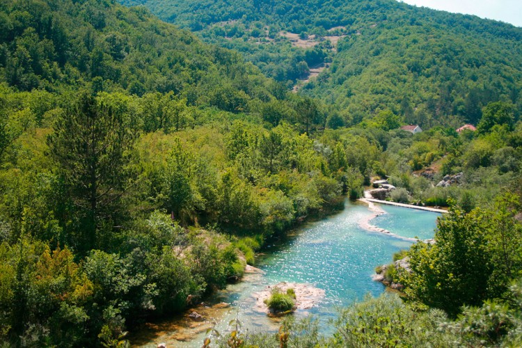 Jazina susica trebinje1.jpg