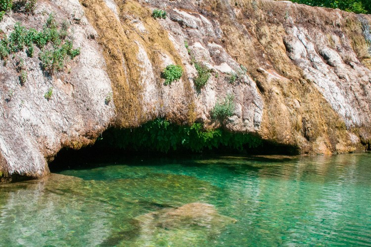 Jazina susica trebinje3.jpg