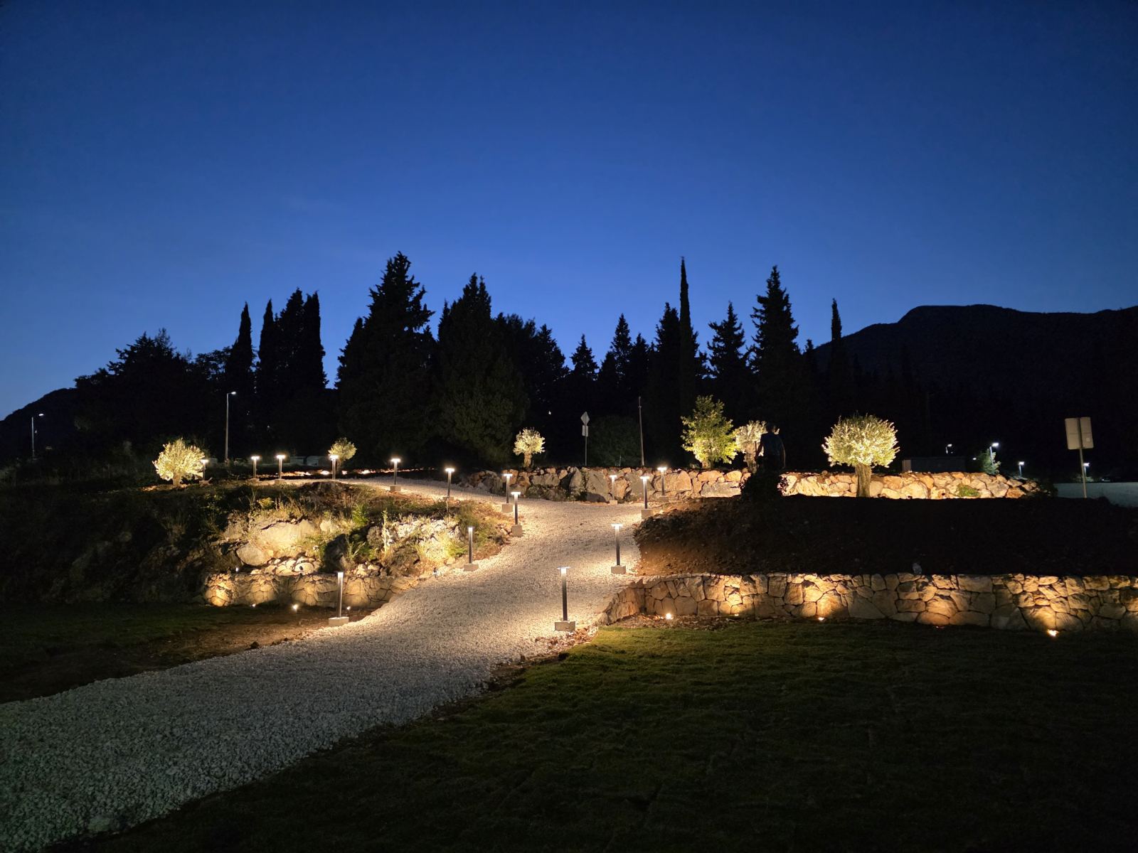 Park maslina.jpg