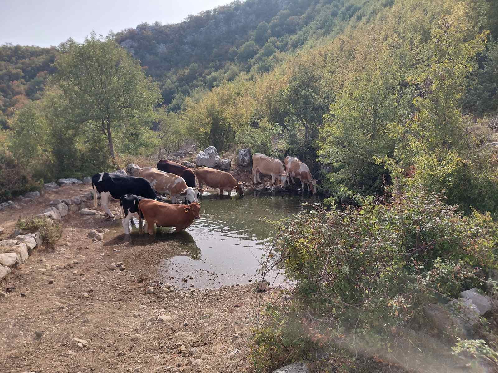 Voda za sela4.jpg