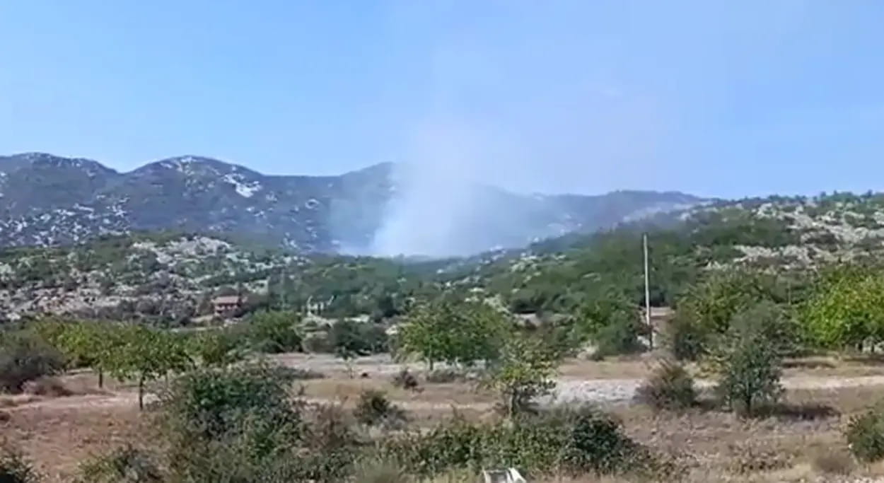 Zupci pozar.jpg