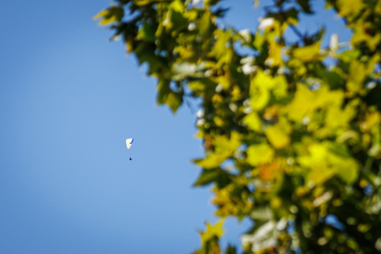 Subota septembar4.jpg
