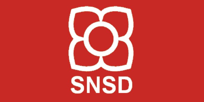 snsd logo
