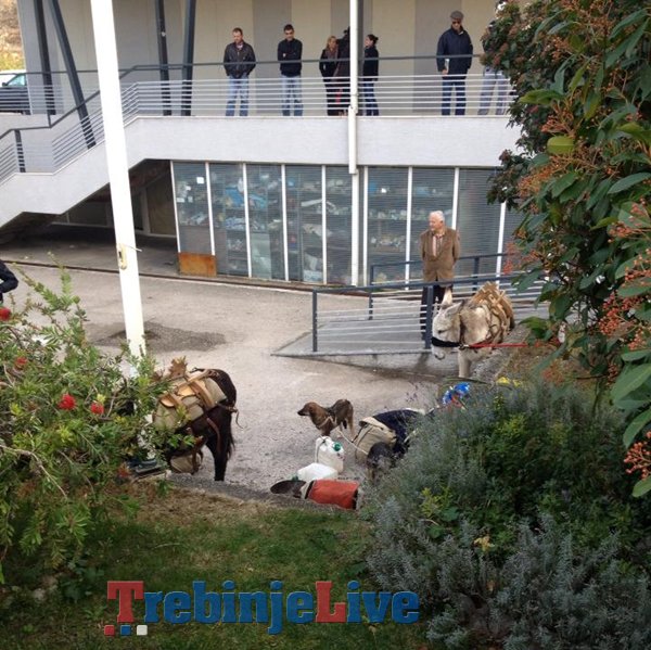 magarci francuzi trebinje centar (1)