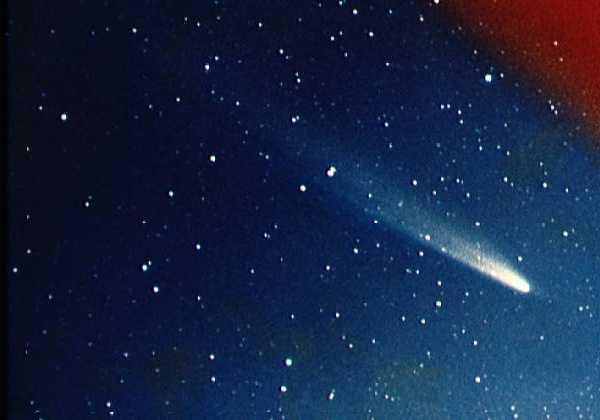 kometa kohoutek