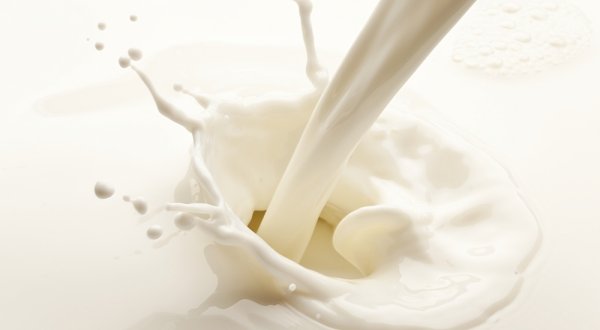 mlijeko proizvodnja srpska