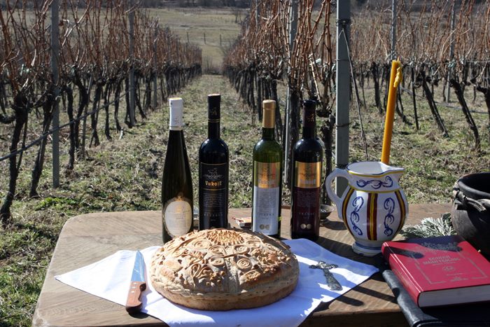 orezivanje vinove loze carski vinogradi vukoje (1)