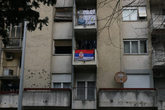 zastave dan republike srpske (7)