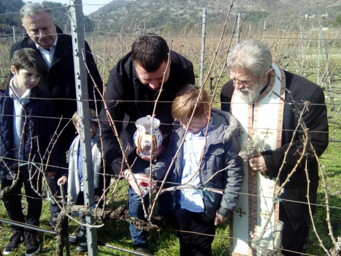 carski vinogradi trifundan 2018 (3)
