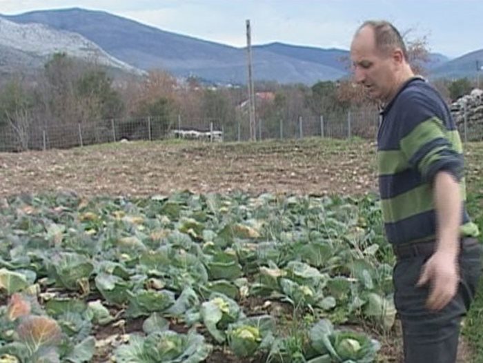 poljoprivredno zemljiste