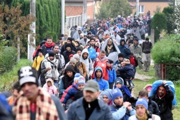 migranti